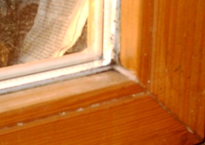 Schimmel in Ecke Fensterrahmen